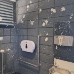 Southland council shames 'brainless numpty' toilet vandals