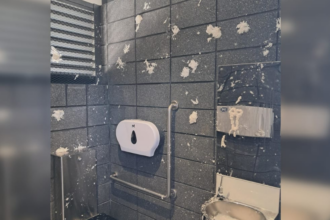 Southland council shames 'brainless numpty' toilet vandals