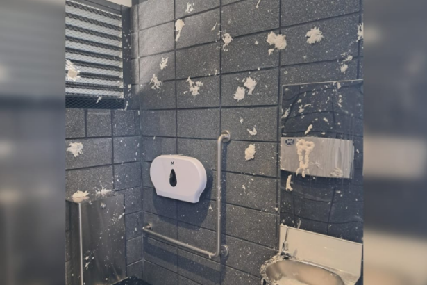 Southland council shames ‘brainless numpty’ toilet vandals