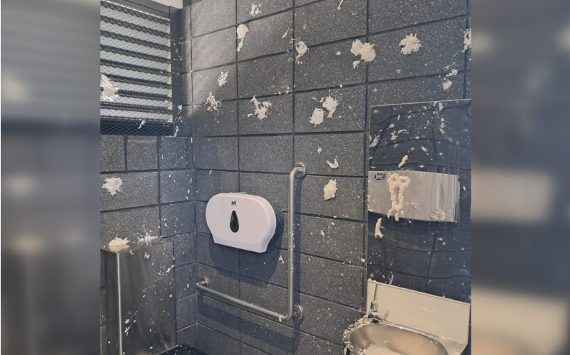 Southland council shames 'brainless numpty' toilet vandals