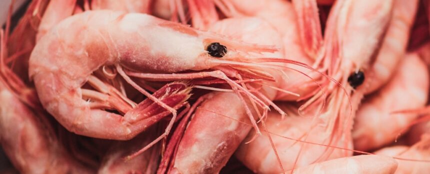 Study Finds Microplastics Are Widespread in Popular Seafoods : ScienceAlert