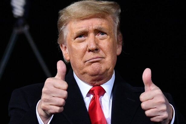 The Port Strike Has Been Averted and the Unions Are Giving All the Credit to Trump: ‘Champion of the Working Men and Women of This Country’ |
