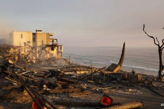 Toy lawnmower To Pearls, Here's What LA Wildfire Survivors Found In Their Now-Destroyed Homes