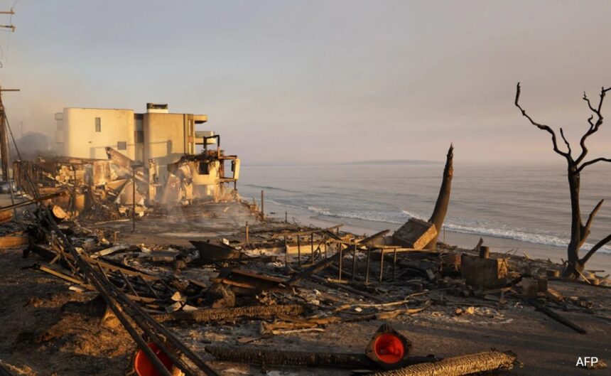 Toy lawnmower To Pearls, Here's What LA Wildfire Survivors Found In Their Now-Destroyed Homes