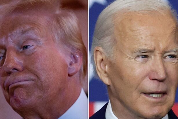Trump Responds To Claim Biden Would’ve Beat Him