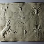 an embossed page of crustacean shapes from a collection of pictures for the blind (tactile graphics), created by M. Kunz, Director of the Illzach School near Mulhouse, France