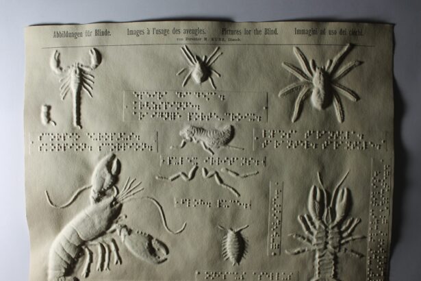 Turn-of-the-Century Tactile Graphics Illustrate Nature for People Who Are Blind — Colossal