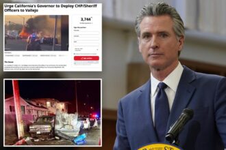 Vallejo, California residents beg Newsom for help with surging crime as LA burns