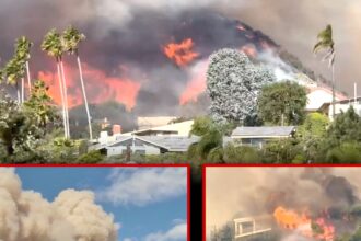 Wildfire Sweeps Through Pacific Palisades, Celeb Homes Threatened