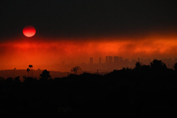 Wildfire smoke exposure, Ozempic coverage: Morning Rounds