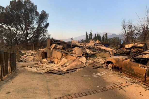 Music History and Contemporary Art Destroyed in the Deadly Los Angeles Wildfires