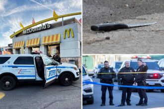 14-year-old arrested in fatal stabbing at NYC McDonald’s