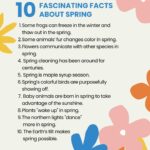 25 Fun Facts About Spring To Brighten Your Day