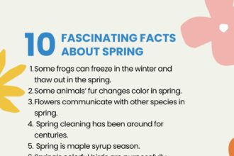 25 Fun Facts About Spring To Brighten Your Day