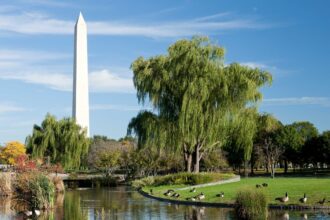 5 Simple Ways For Kids To Experience Nature In The City