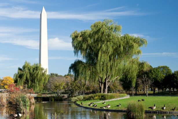 5 Simple Ways For Kids To Experience Nature In The City