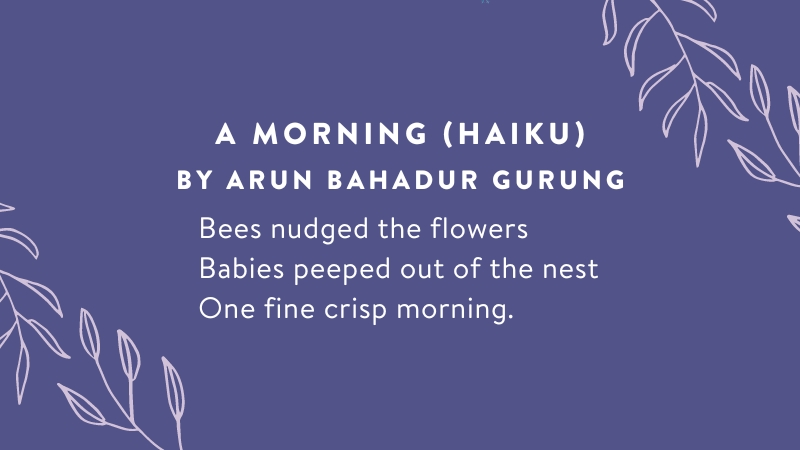 58 Captivating Haiku Examples for Everyone