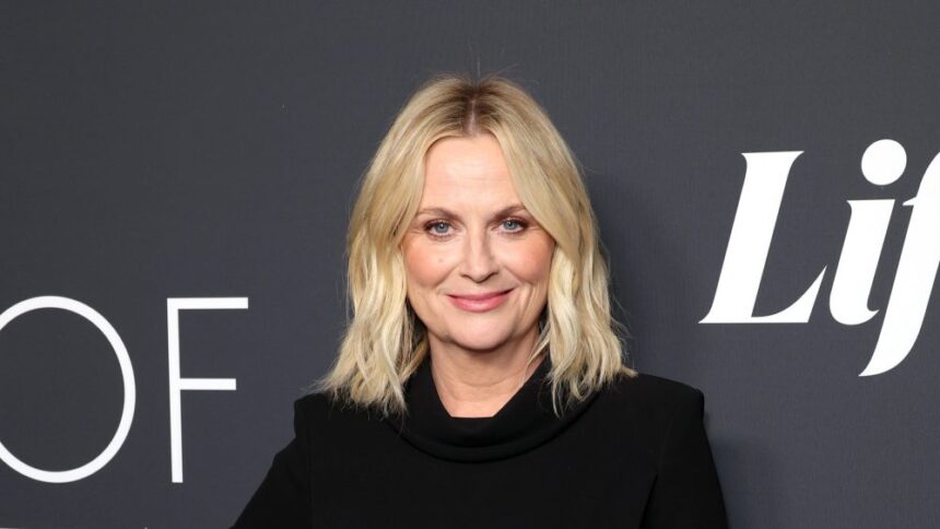 Amy Poehler to Launch Podcast ‘Good Hang’ With The Ringer, Spotify