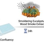 Assessing adverse neurological effects of wildfire smoke inhalation