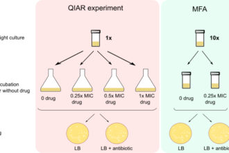 Bad in small doses—how misuse of antibiotics contributes to bacterial drug resistance