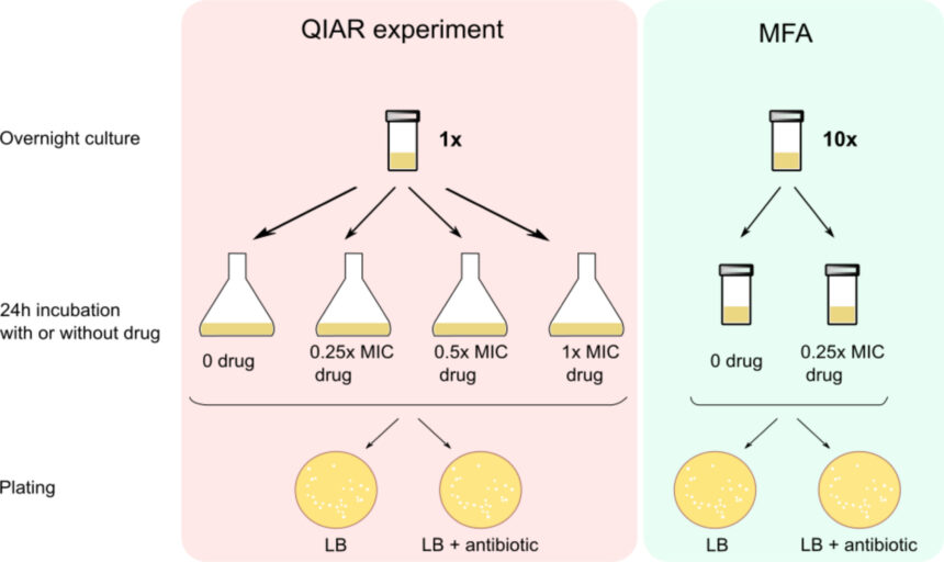 Bad in small doses—how misuse of antibiotics contributes to bacterial drug resistance