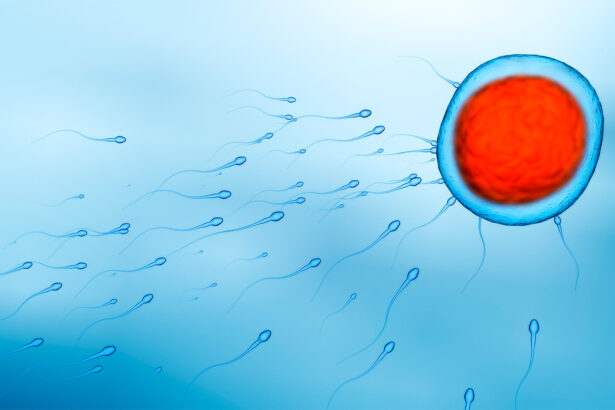 Biological sex is not as simple as male or female