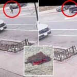 Brutal NYC hit-and-run caught on video with one in custody: NYPD