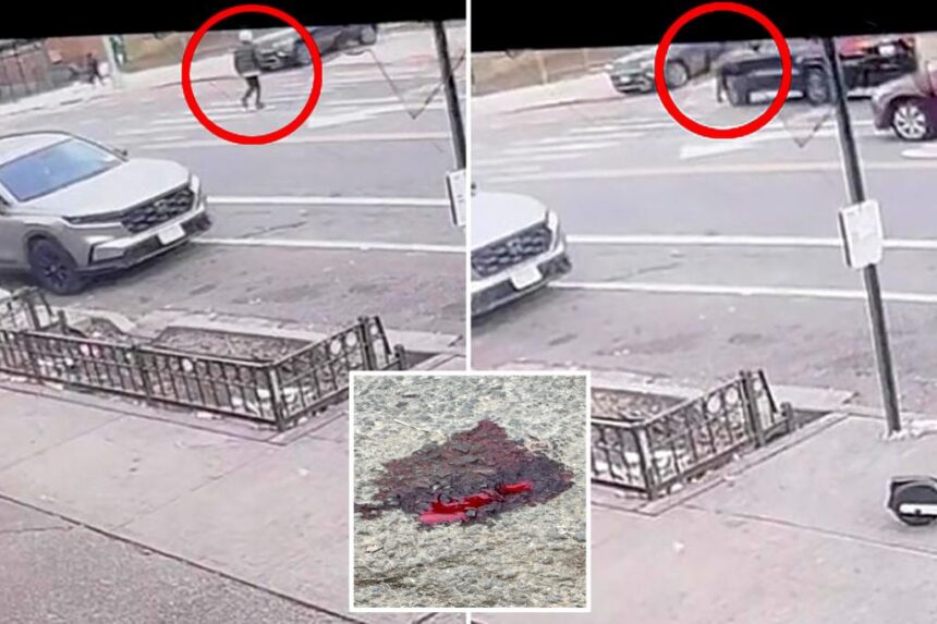 Brutal NYC hit-and-run caught on video with one in custody: NYPD