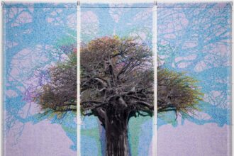 Charles Gaines Maps the Meanings of Ancient Baobab Trees in Meticulous Charts — Colossal