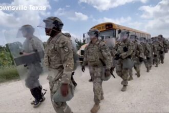 Customs and Border Protection Deputizes Texas National Guard, Allowing Them to “Assist with and Facilitate the Mass Deportation of Illegal Aliens” |