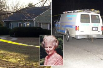 DNA, fingerprint evidence leads to arrest in cold case killing of 88-year-old Suffolk County widow