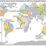 Deadly diarrhea-causing contaminants may go undetected in flawed testing methods