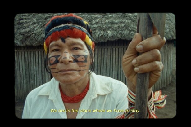 Deep in the Amazon Rainforest, ‘I Am the Nature’ Celebrates Indigenous Cultural Philosophy — Colossal