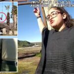 Female activist arrested for tearing down US flag and replacing with Mexico’s at California park