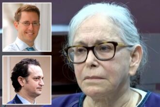 Florida grandma Donna Adelson Vietnam excuse during Dan Markel murder-for-hire case