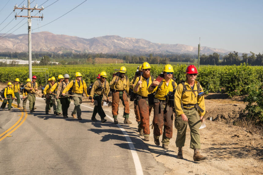 Forest Service firings decimate already understaffed agency