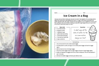 Ice Cream in a Bag Experiment: How-To Plus Free Worksheet