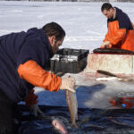 Ice fishing anglers help with Great Lakes research.