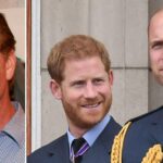 James Hewitt Steps In To Heal Harry And William’s Royal Rift