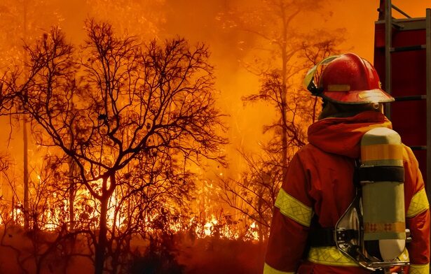 My Weekly Reading for February 16, 2025