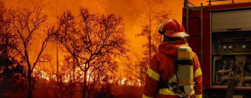 Low Water Prices Mean More Damage from LA Fires