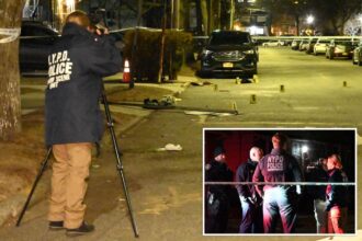 Man fatally stabbed during fight inside NYC home as killer remains on loose: NYPD