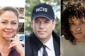 NCIS Universe Dating History: The Actors Love Lives, Spinoffs