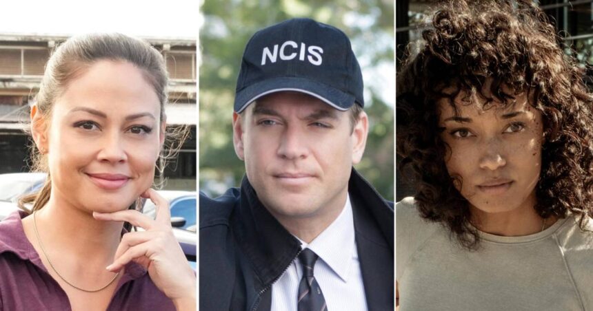 NCIS Universe Dating History: The Actors Love Lives, Spinoffs