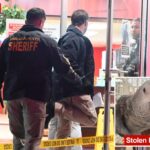 NJ bird shop owner shot with a crossbow in random attack