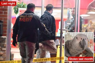 NJ bird shop owner shot with a crossbow in random attack