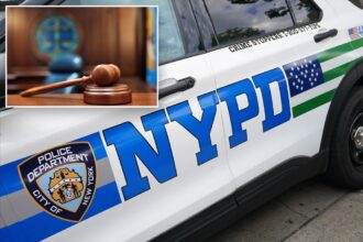 NYC paid out 6M to settle NYPD misconduct claims last year — most since 2018: report