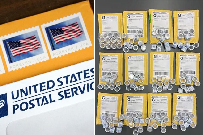 Nearly 162K counterfeit US ‘forever’ stamps from China seized in Chicago