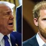 Prince Harry Could Still Get Kicked Out Of The U.S Over Drug Taking ‘Lies’