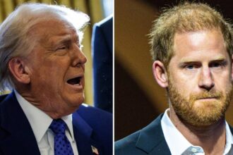 Prince Harry Could Still Get Kicked Out Of The U.S Over Drug Taking ‘Lies’